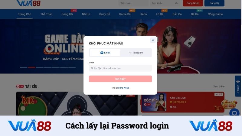 Cách lấy lại Password login
