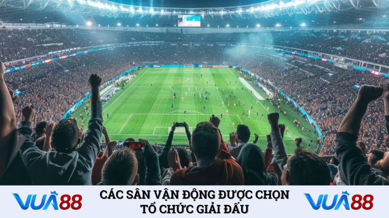 Các sân vận động được chọn tổ chức giải đấu