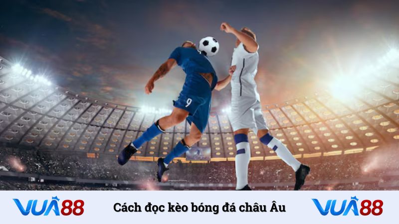 Cách đọc kèo bóng đá châu Âu